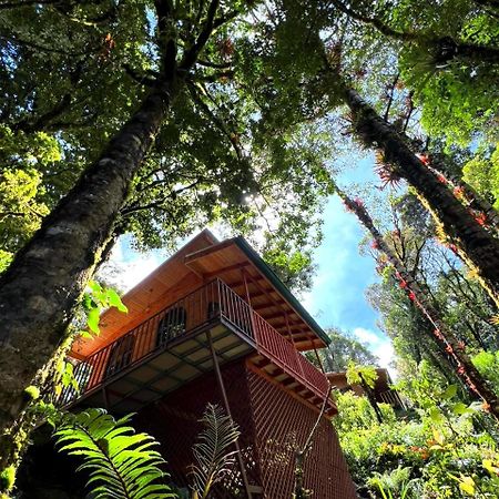 Cabana Anturios ซานโฮเซ ภายนอก รูปภาพ