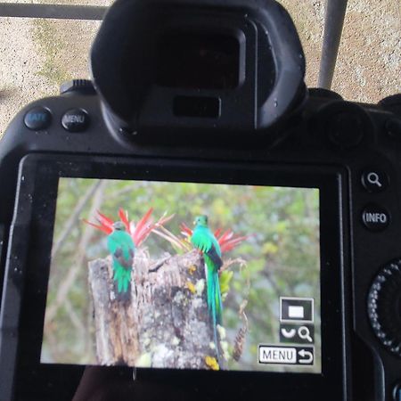 Cabana Anturios ซานโฮเซ ภายนอก รูปภาพ