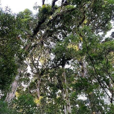 Cabana Anturios ซานโฮเซ ภายนอก รูปภาพ