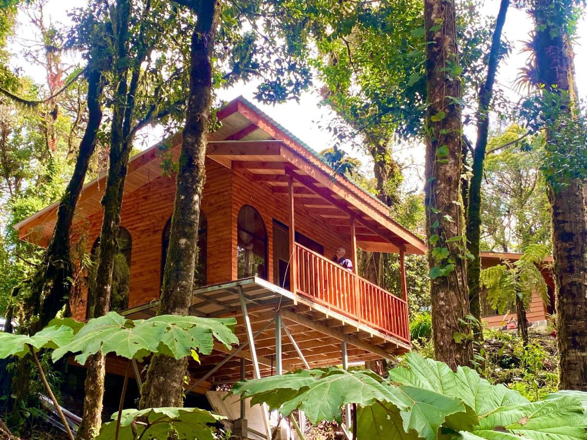 Cabana Anturios ซานโฮเซ ภายนอก รูปภาพ