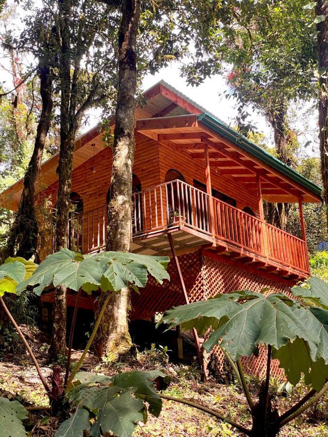 Cabana Anturios ซานโฮเซ ภายนอก รูปภาพ
