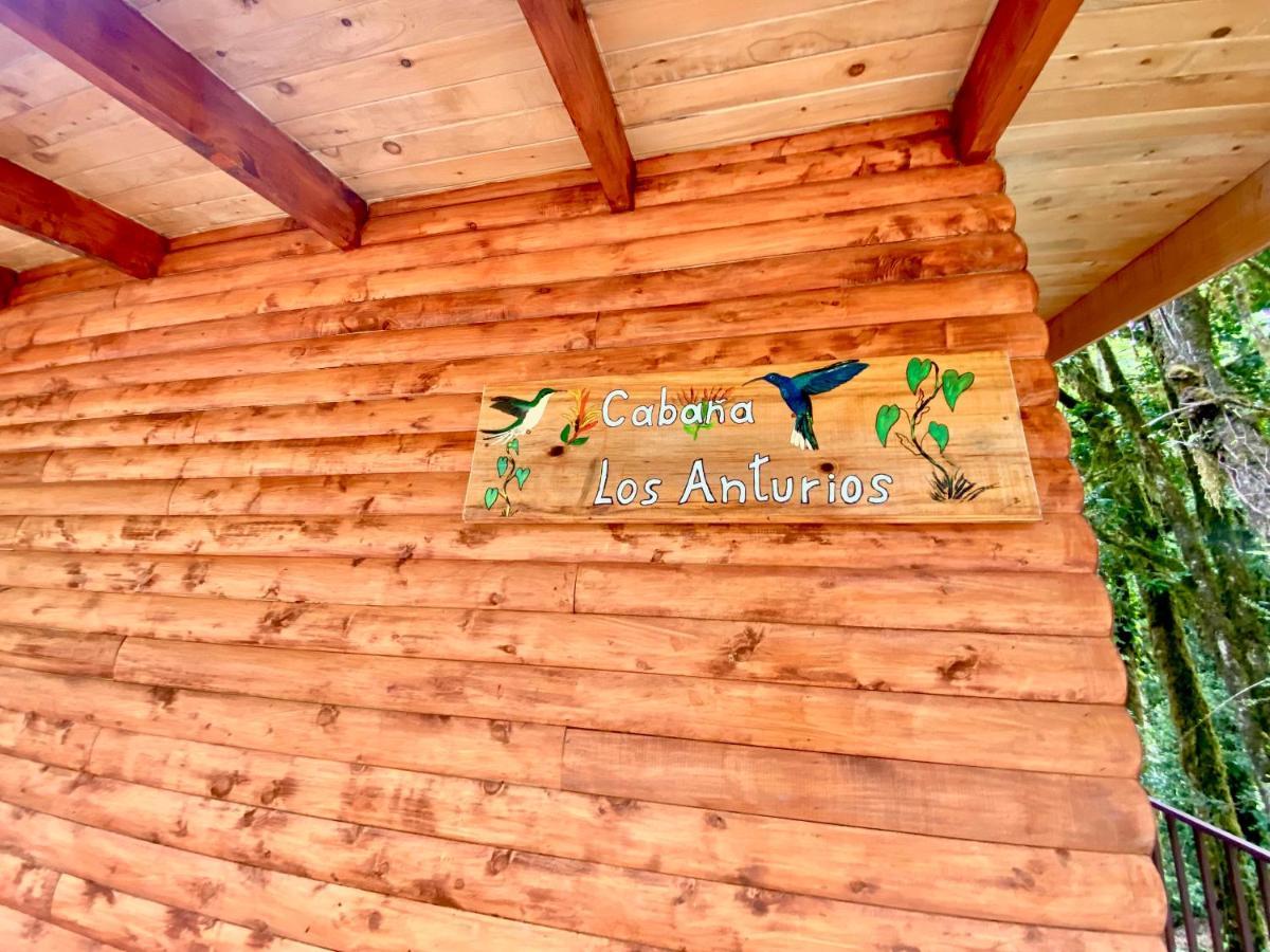 Cabana Anturios ซานโฮเซ ภายนอก รูปภาพ