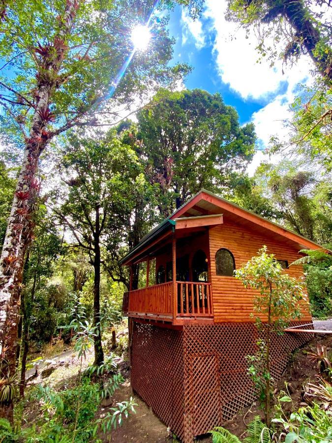 Cabana Anturios ซานโฮเซ ภายนอก รูปภาพ