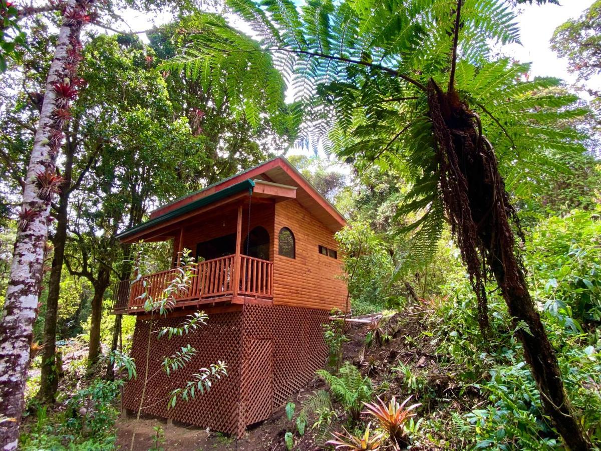 Cabana Anturios ซานโฮเซ ภายนอก รูปภาพ
