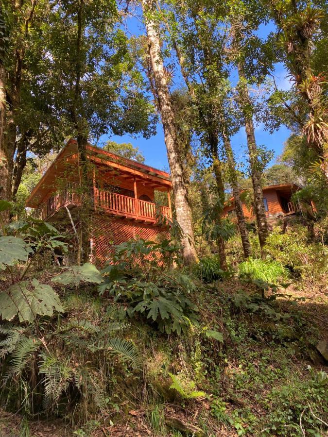 Cabana Anturios ซานโฮเซ ภายนอก รูปภาพ
