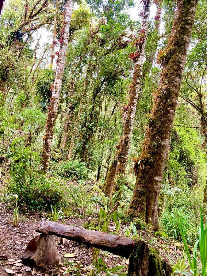 Cabana Anturios ซานโฮเซ ภายนอก รูปภาพ