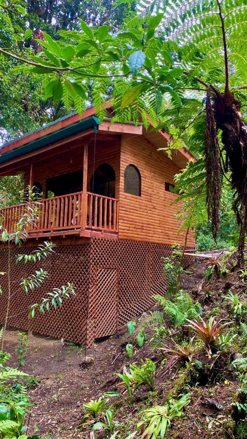 Cabana Anturios ซานโฮเซ ภายนอก รูปภาพ