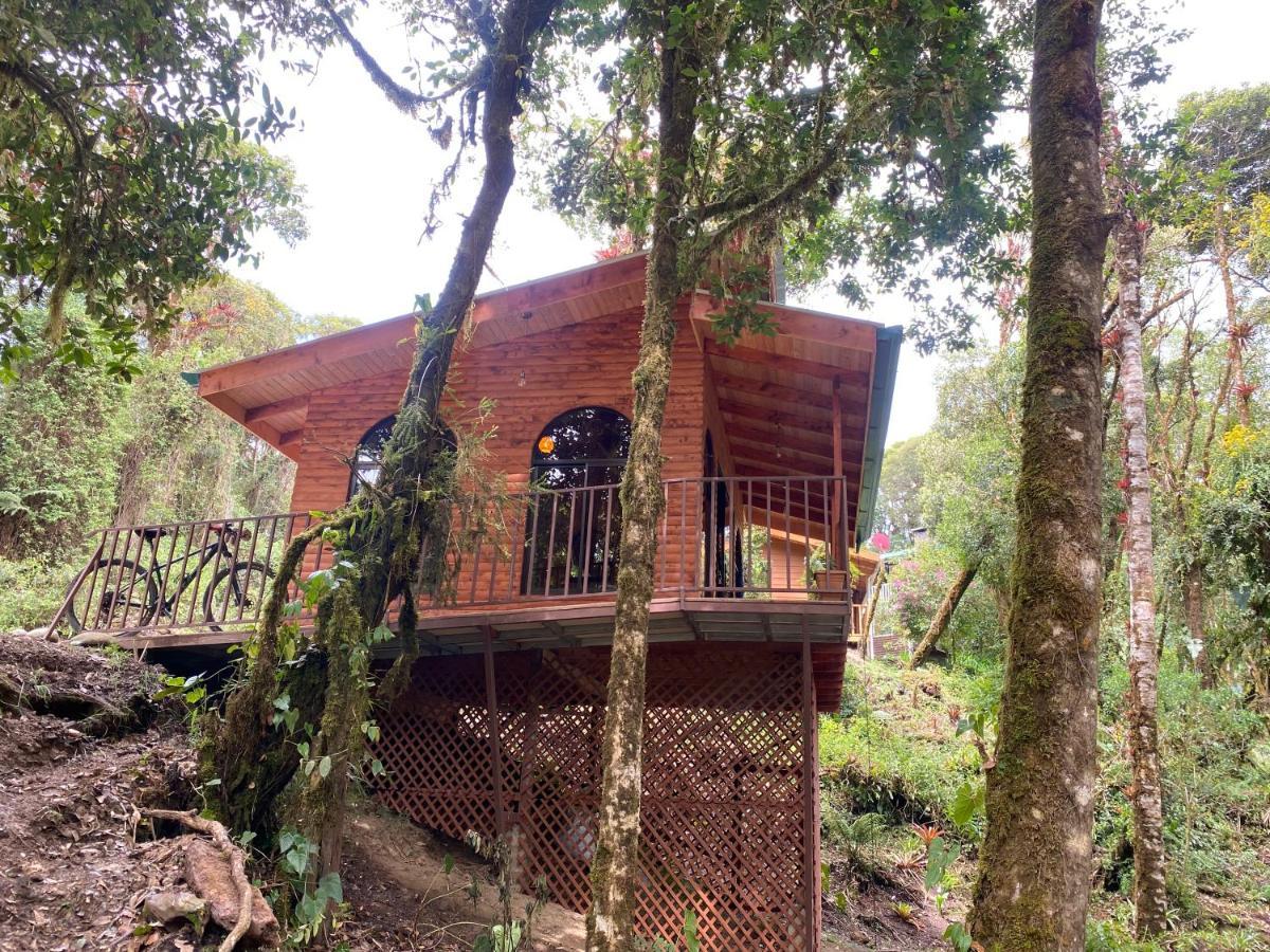 Cabana Anturios ซานโฮเซ ภายนอก รูปภาพ