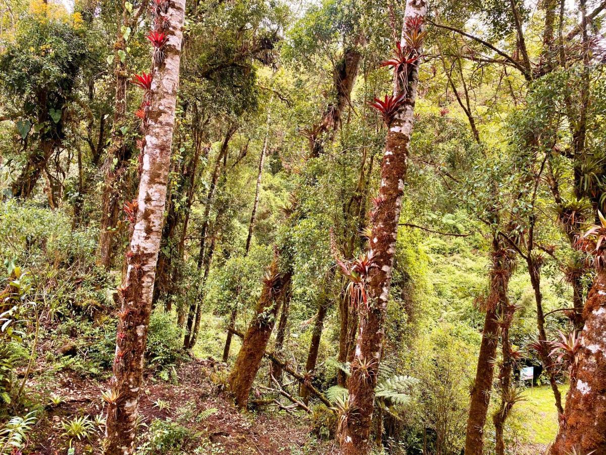 Cabana Anturios ซานโฮเซ ภายนอก รูปภาพ