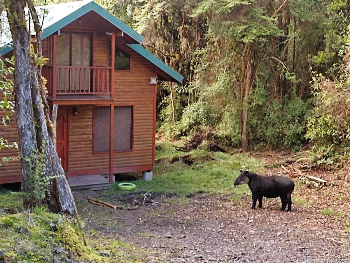 Cabana Anturios ซานโฮเซ ภายนอก รูปภาพ