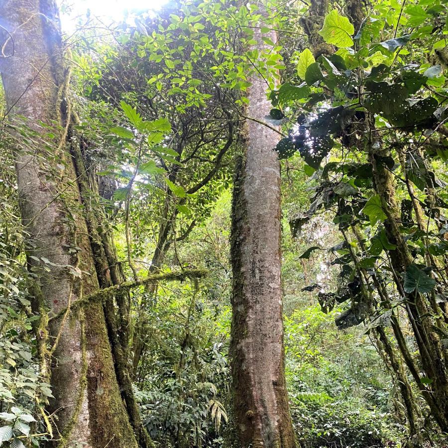 Cabana Anturios ซานโฮเซ ภายนอก รูปภาพ