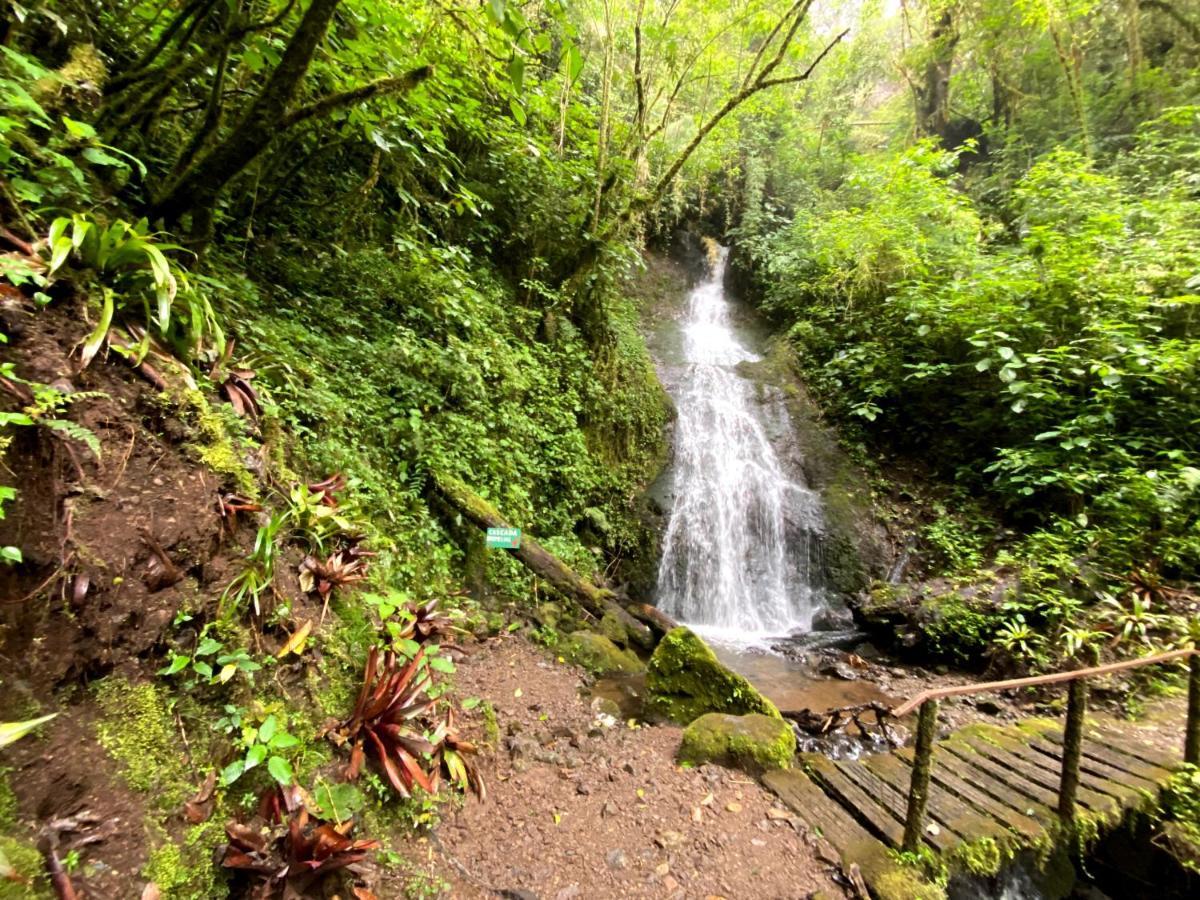 Cabana Anturios ซานโฮเซ ภายนอก รูปภาพ