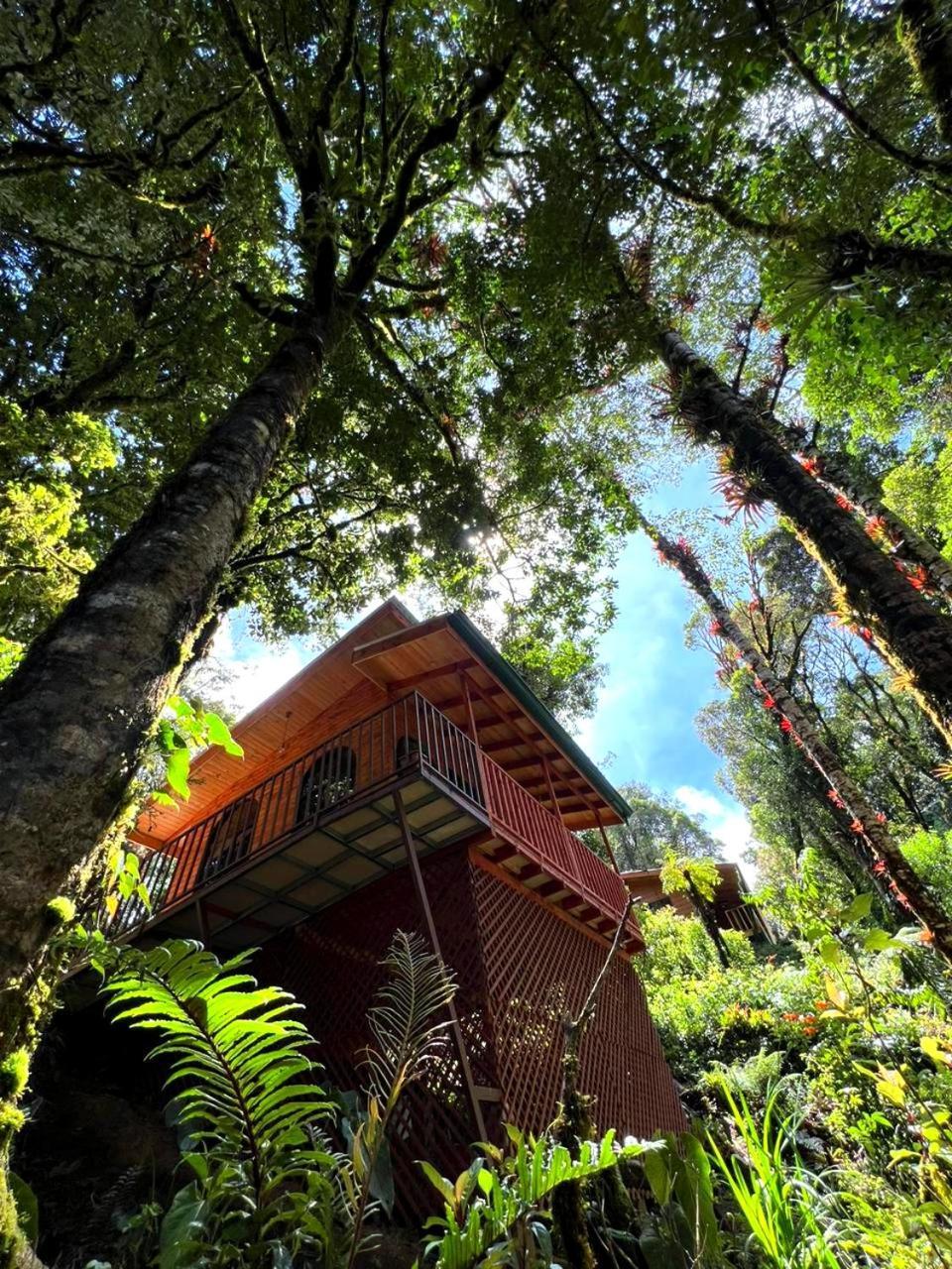 Cabana Anturios ซานโฮเซ ภายนอก รูปภาพ