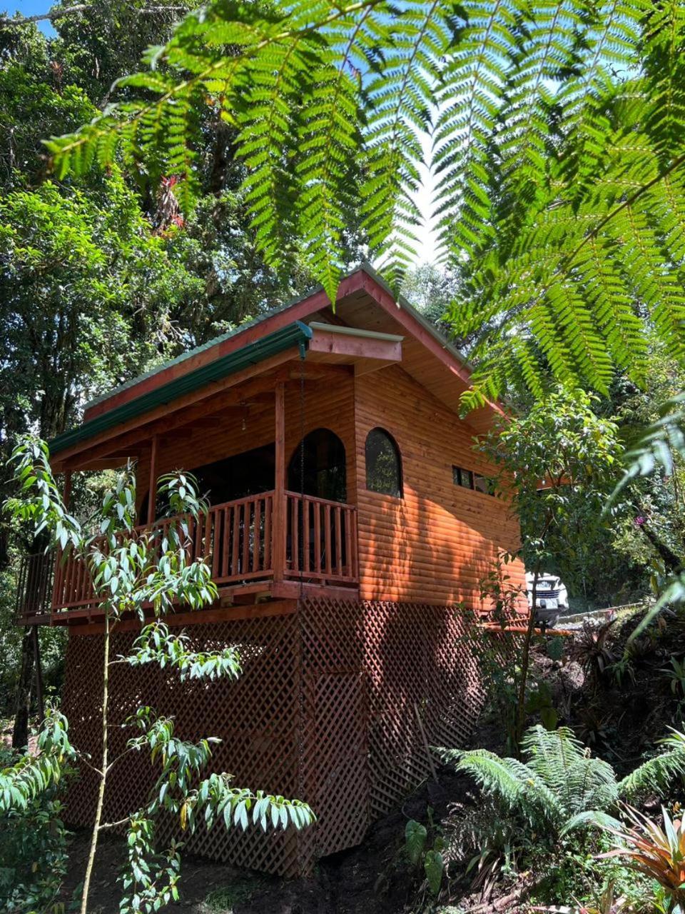 Cabana Anturios ซานโฮเซ ภายนอก รูปภาพ