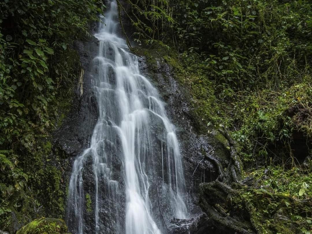 Cabana Anturios ซานโฮเซ ภายนอก รูปภาพ