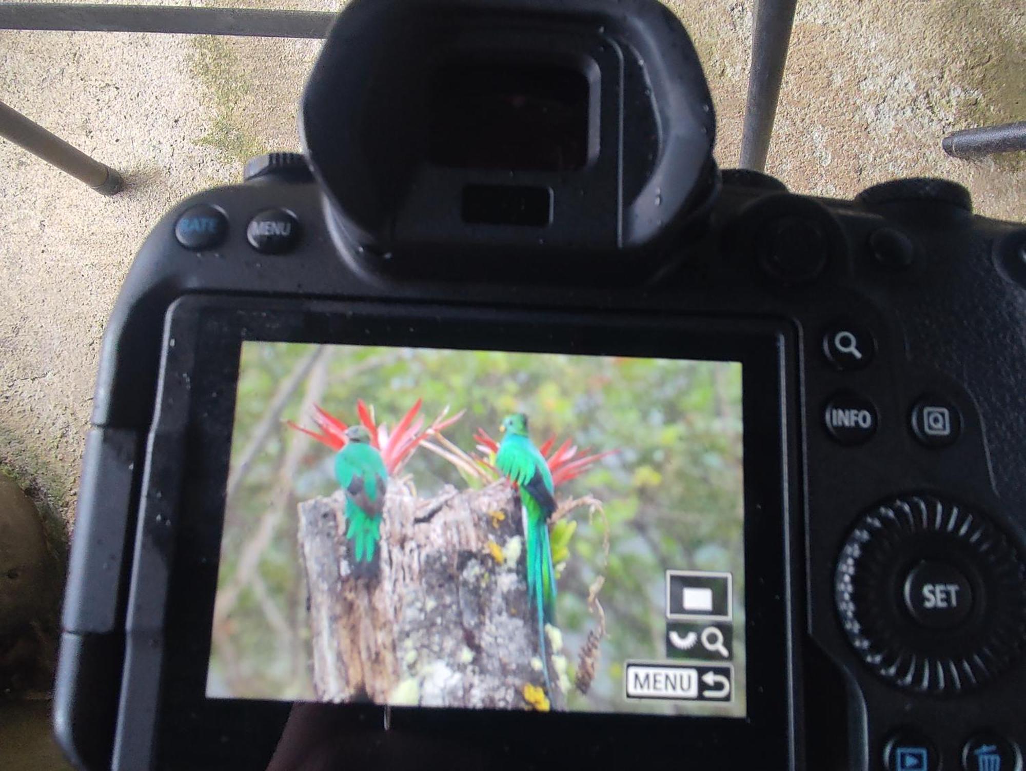 Cabana Anturios ซานโฮเซ ภายนอก รูปภาพ